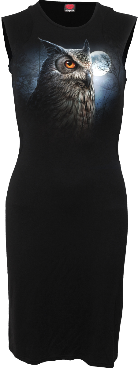 Night Wise Sleeveless Mesh Panel Dress Black (Plain)